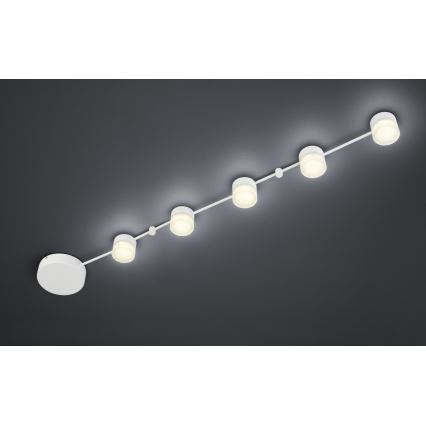 Trio - LED Stmievateľné stropné svietidlo NASHVILLE 5xLED/3W/230V