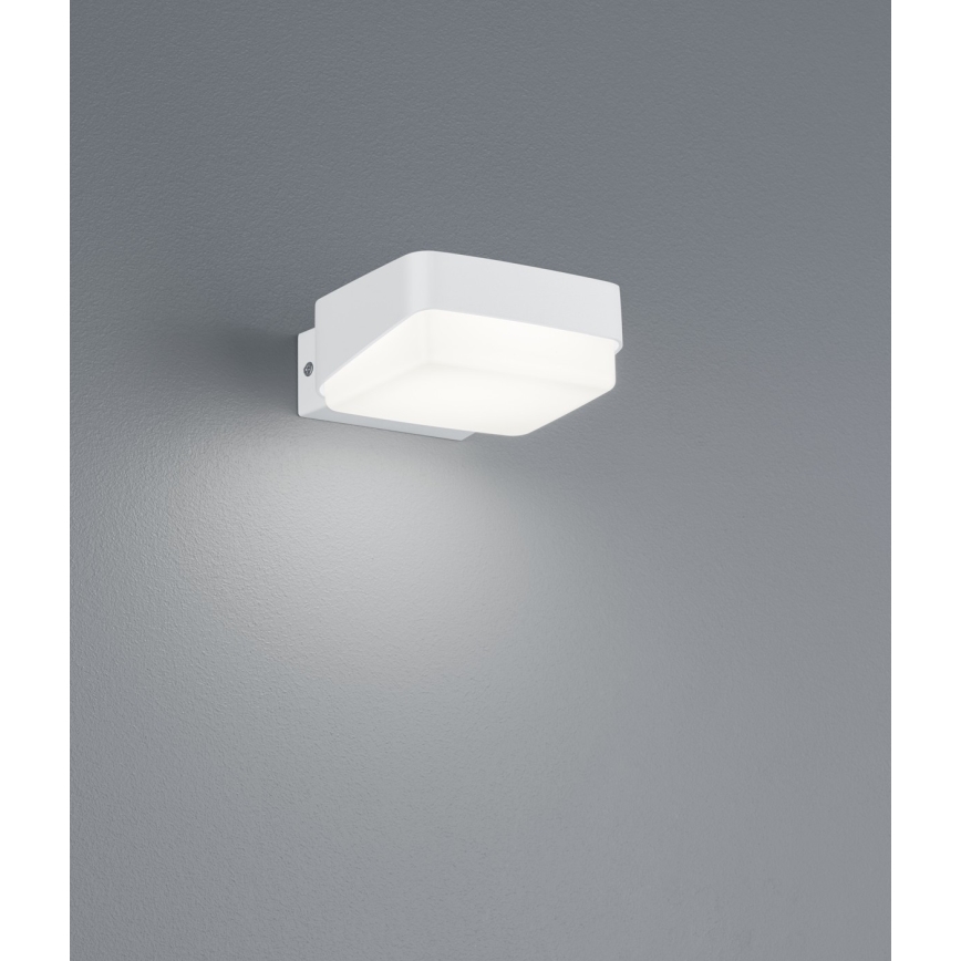Trio - LED Vonkajšie nástenné svietidlo JUBA LED/10W/230V IP65