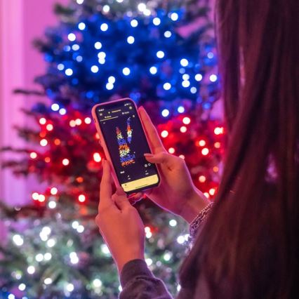 Twinkly - LED RGBW Stmievateľná vonkajšia vianočná reťaz STRINGS 250xLED 23,5m IP44 Wi-Fi
