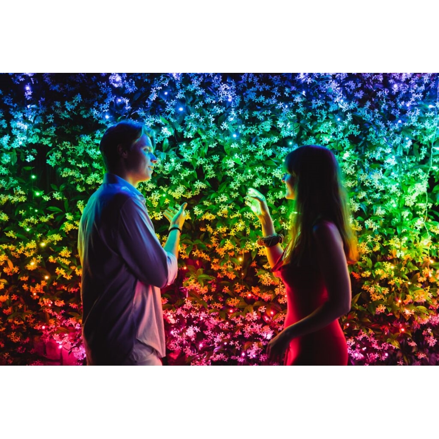 Twinkly - LED RGB Stmievateľný vonkajší vianočná reťaz STRINGS 600xLED 51,5m IP44 Wi-Fi