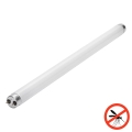 UV žiarivka do lapača hmyzu G13, 15 W, 230 V, 45 cm - Brilagi