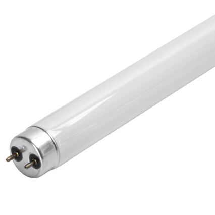 UV žiarivková trubica pre lapač hmyzu G13/10W/230V 36,5 cm - BRILAGI