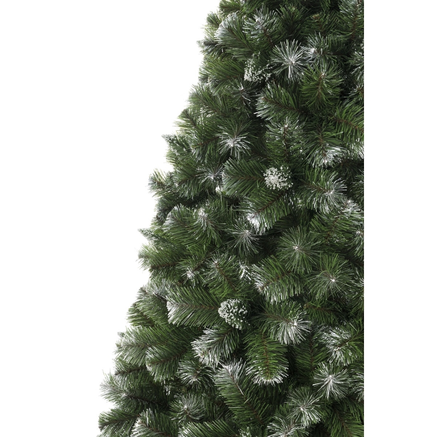 Vianočný stromček 180 cm borovica