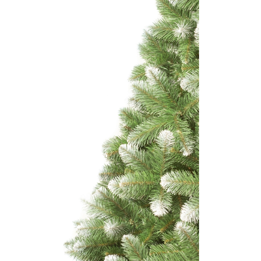 Vianočný stromček 250 cm borovica