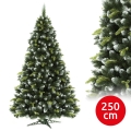 Vianočný stromček 250 cm borovica