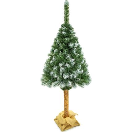 Vianočný stromček na kmeni 180 cm borovica