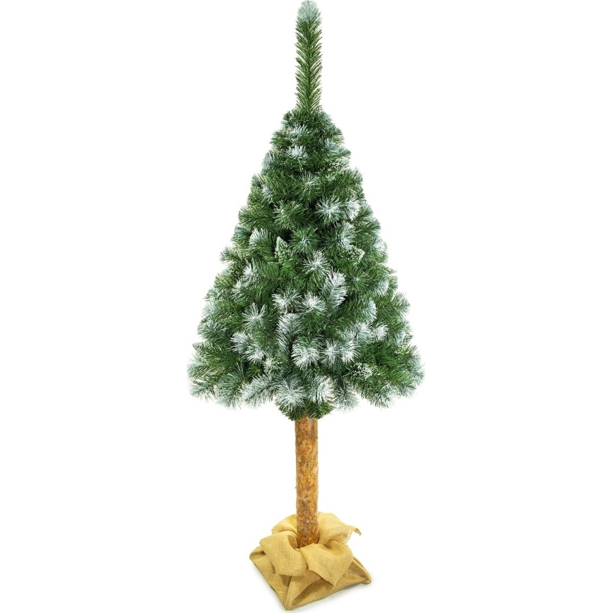 Vianočný stromček na kmeni 180 cm borovica