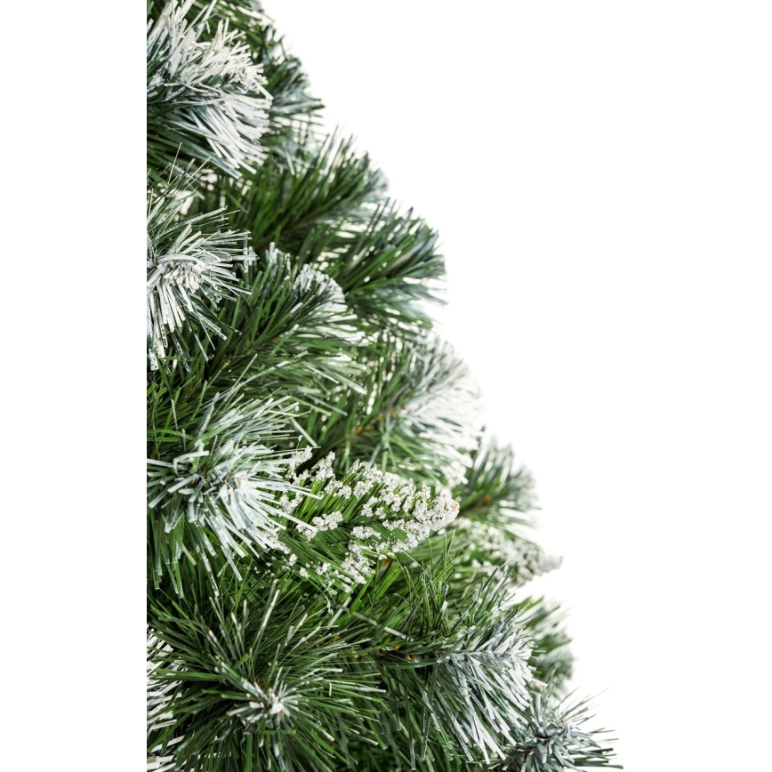 Vianočný stromček na kmeni 180 cm borovica