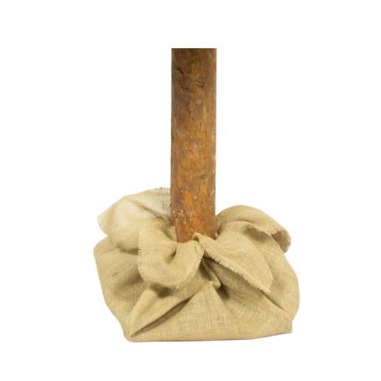 Vianočný stromček na kmeni 180 cm borovica