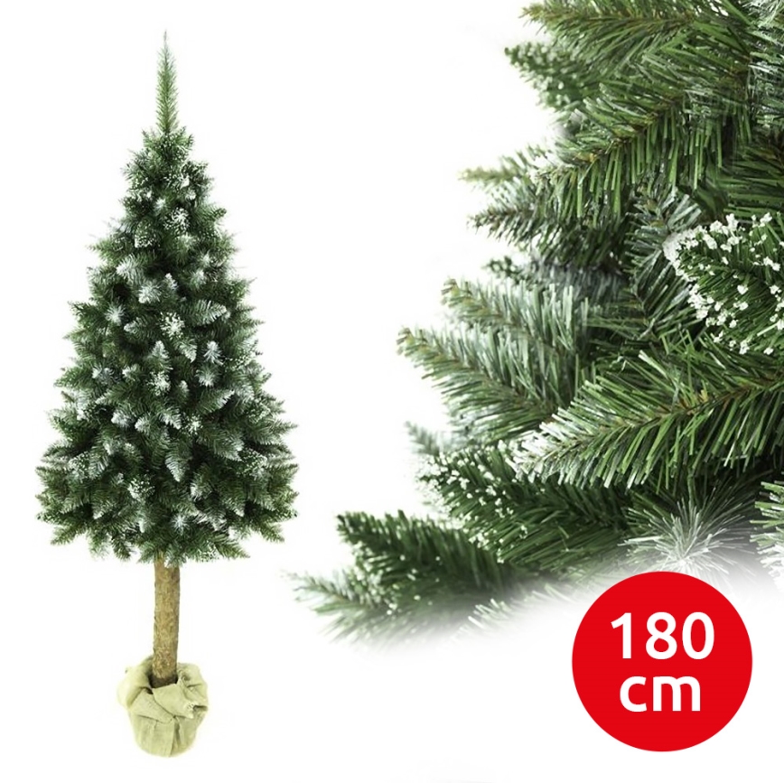 Vianočný stromček na kmeni 180 cm jedľa
