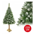 Vianočný stromček na kmeni 220 cm borovica