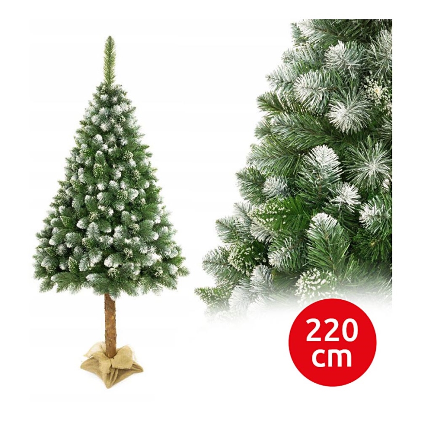 Vianočný stromček na kmeni 220 cm borovica