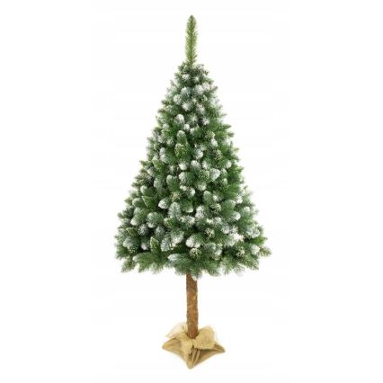 Vianočný stromček na kmeni 220 cm borovica