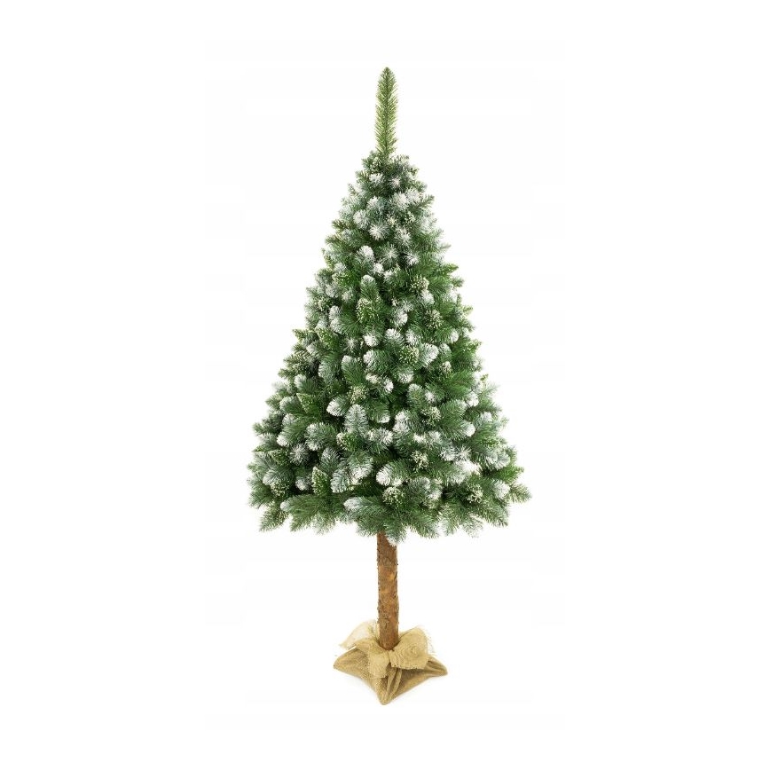 Vianočný stromček na kmeni 220 cm borovica