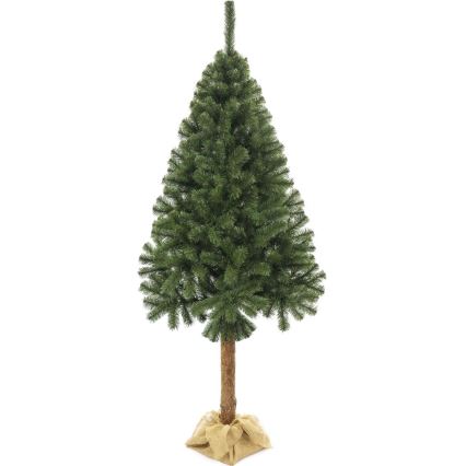 Vianočný stromček na kmeni 220 cm jedľa
