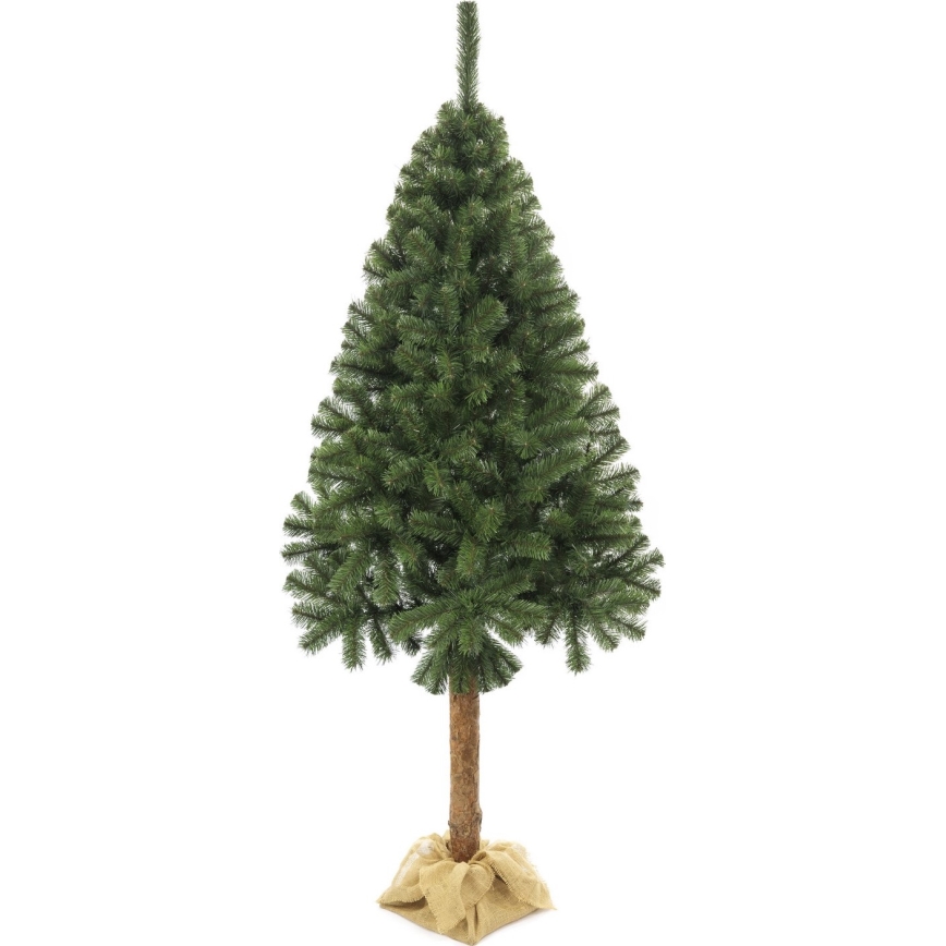 Vianočný stromček na kmeni 220 cm jedľa