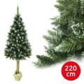 Vianočný stromček na kmeni 220 cm jedľa