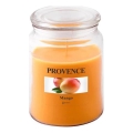 Voňavá sviečka MANGO 510 g 85-95 hod.