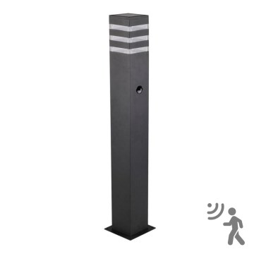 Vonkajšia lampa so senzorom TEKSAS 1xE27/12W/230V IP44 74 cm grafit