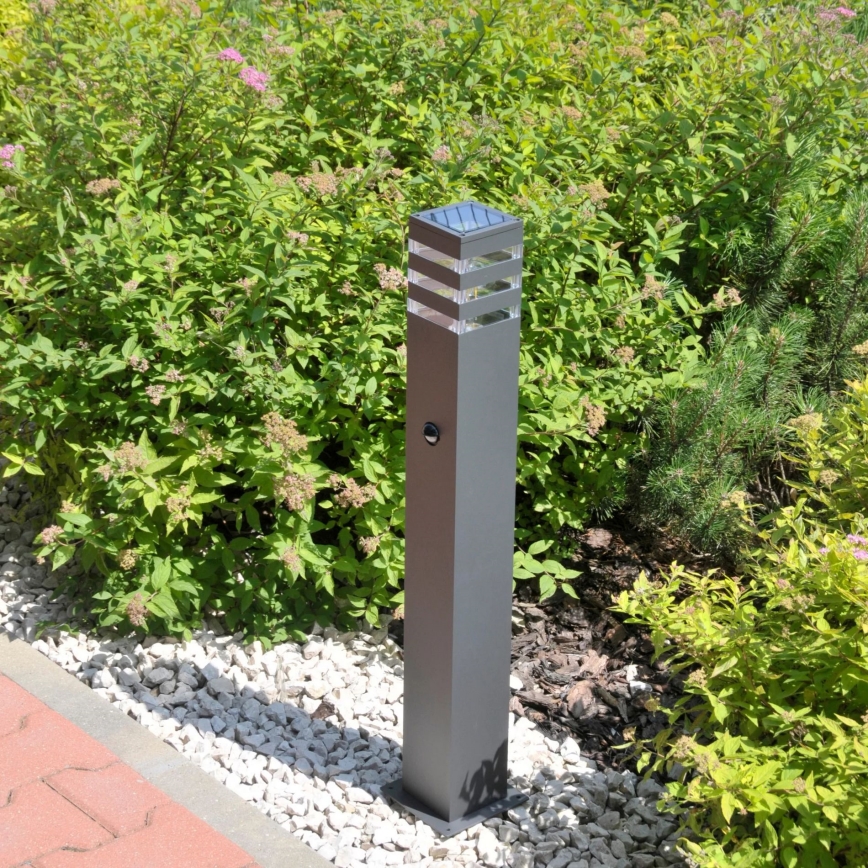 Vonkajšia lampa so senzorom TEKSAS 1xE27/12W/230V IP44 74 cm grafit