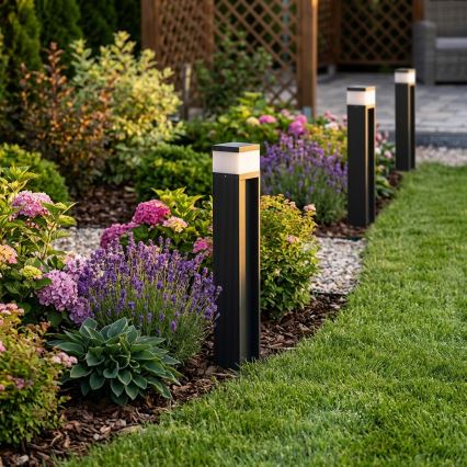 Vonkajšia lampa VESPER 1xG9/5W/230V IP44 50 cm čierna