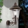 Vonkajšia nástenná lampa KENZO 1xE27/100W/230V IP44 bronz/patina