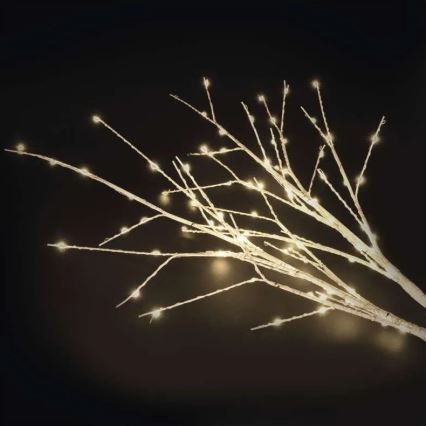 Vonkajšia vianočná LED dekorácia, 100xLED/3xAA, teplá biela, IP44