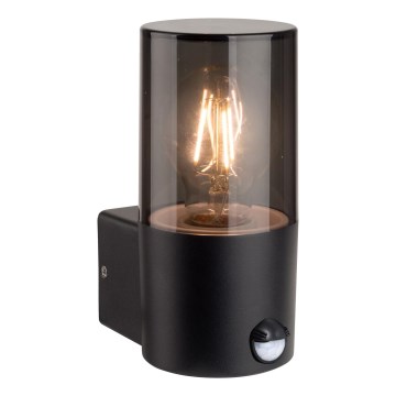 Vonkajšie nástenné svietidlo s pohybovým a súmrakovým senzorom 1xE27/40W/230V IP44 čierne/dymové