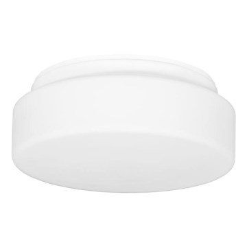 Vonkajšie stropné svietidlo HECTOR 1xE27/60W/230V pr. 25 cm IP44 opál biela