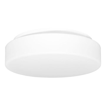 Vonkajšie stropné svietidlo HECTOR 1xE27/60W/230V pr. 30 cm IP44 opál biela
