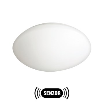 Vonkajšie svietidlo s čidlom PETRA 1xE27/60W/230V opálové sklo Vonkajšie svietidlo s čidlom PETRA 1xE27/60W/230V opálové sklo