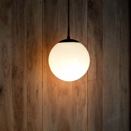 Vonkajšie závesné svietidlo na lane 1xE27/60W/230V pr. 20 cm IP44 čierne