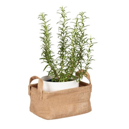 WENKO 64470100 - Kôš JUNA 20x15 cm hnedý