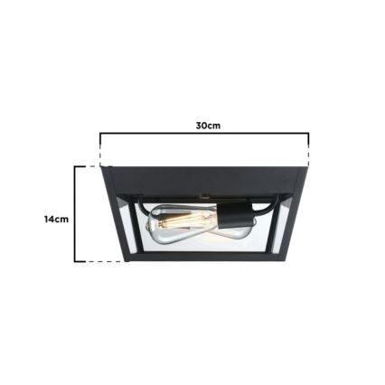 Westinghouse 61219 - Vonkajšie stropné svietidlo PETERSON 2xE27/40W/230V IP44
