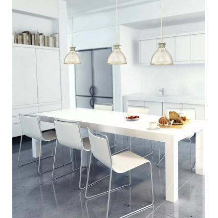 Westinghouse 6326940 - Stropný luster na tyči MORRISON 1xE27/60W/230V