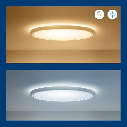 WiZ - LED RGB Stmievateľné stropné svietidlo SUPERSLIM LED/22W/230V 2700-6500K Wi-Fi biela