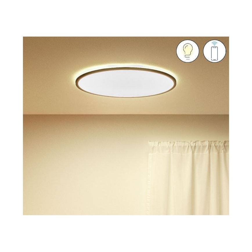 WiZ - LED Stmievateľné stropné svietidlo SUPERSLIM LED/32W/230V 2700-6500K Wi-Fi čierna