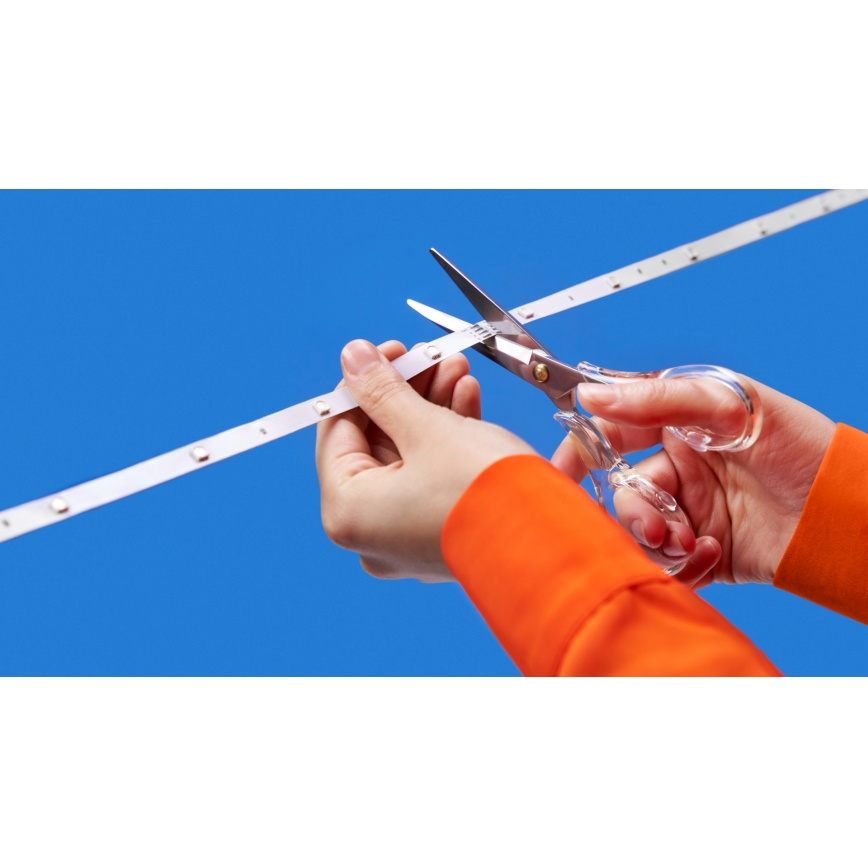 WiZ - RGBW LED Stmievateľný pás 4m LED/6,5/230V 2700-6500K Wi-Fi