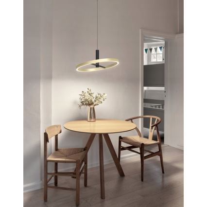 Wofi 6016-104L - stmievateľný LED luster na lanku BREST LED/19W/230V priemer 42 cm čierna/zlatá