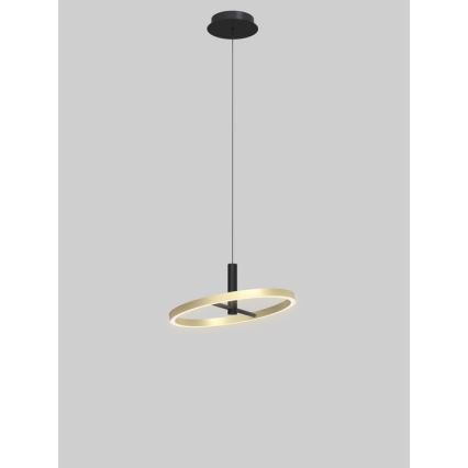 Wofi 6016-104L - stmievateľný LED luster na lanku BREST LED/19W/230V priemer 42 cm čierna/zlatá