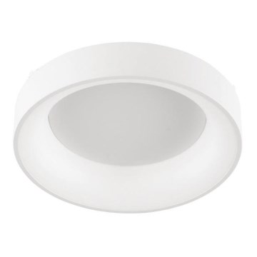 Wofi 70079G - LED Stropné svietidlo CAMERON LED/27W/230V 3000K