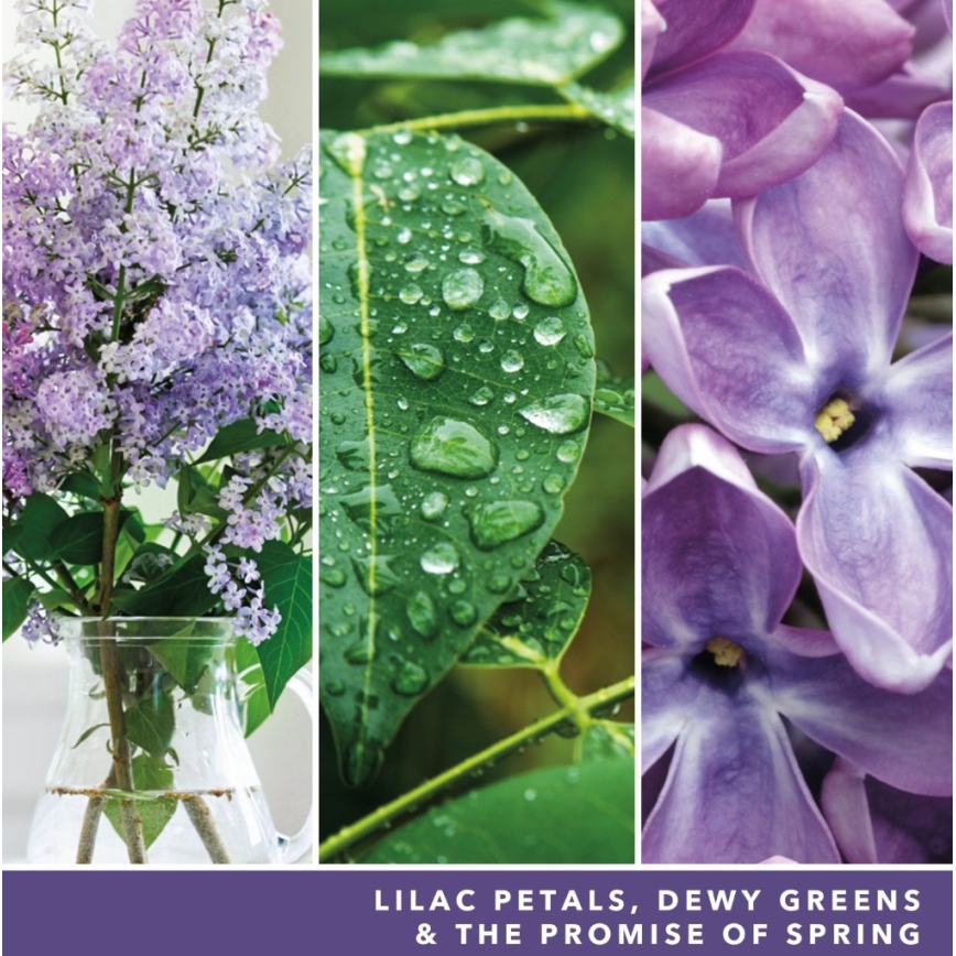 Yankee Candle - Vonná sviečka LILAC BLOSSOMS veľká 567 g 60-90 hod.