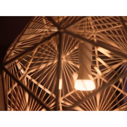 Základná sada Philips Hue WHITE AMBIANCE 2xE27/8W/230V + Hue Bridge a stmievací spínač