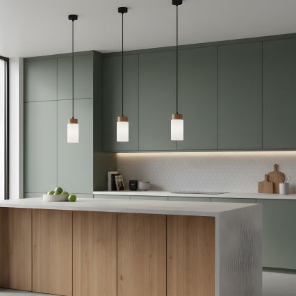 Závesné svietidlo na lanku MARKUS 1xE27/15W/230V čierna/dub