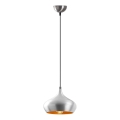 Závesný luster DODO 1xE27/40W/230V matný chróm