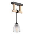 Závesný luster LEANDRA na lanku 1xE27/15W/230V dub/čierna