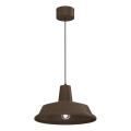 Závesný luster na lanku CLASS 1xE27/15W/230V hnedý