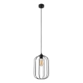 Závesný luster na lanku DESTELLO 1xE27/15W/230V pr. 21 cm čierny