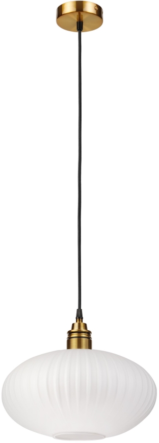 Závesný luster na lanku HECTOR 1xE27/15W/230V, priemer 30 cm