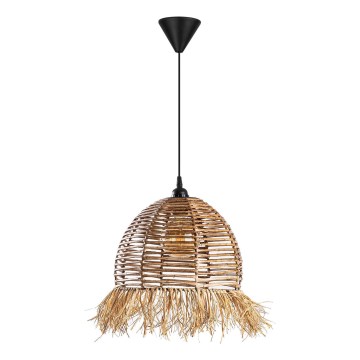 Závesný luster RUYO 1xE27/40W/230V hnedý